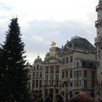 IMG_5769.JPG