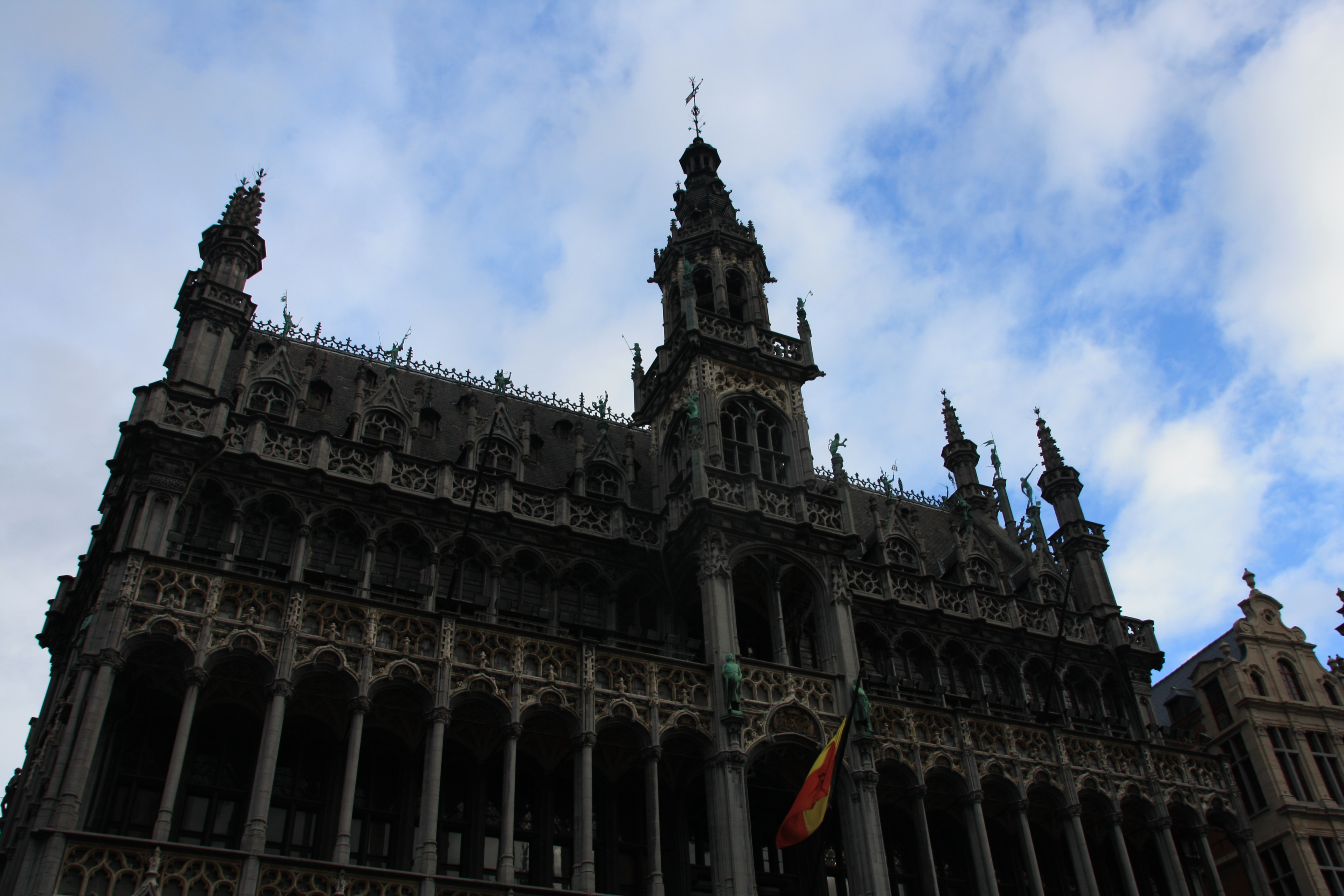IMG_5773.JPG