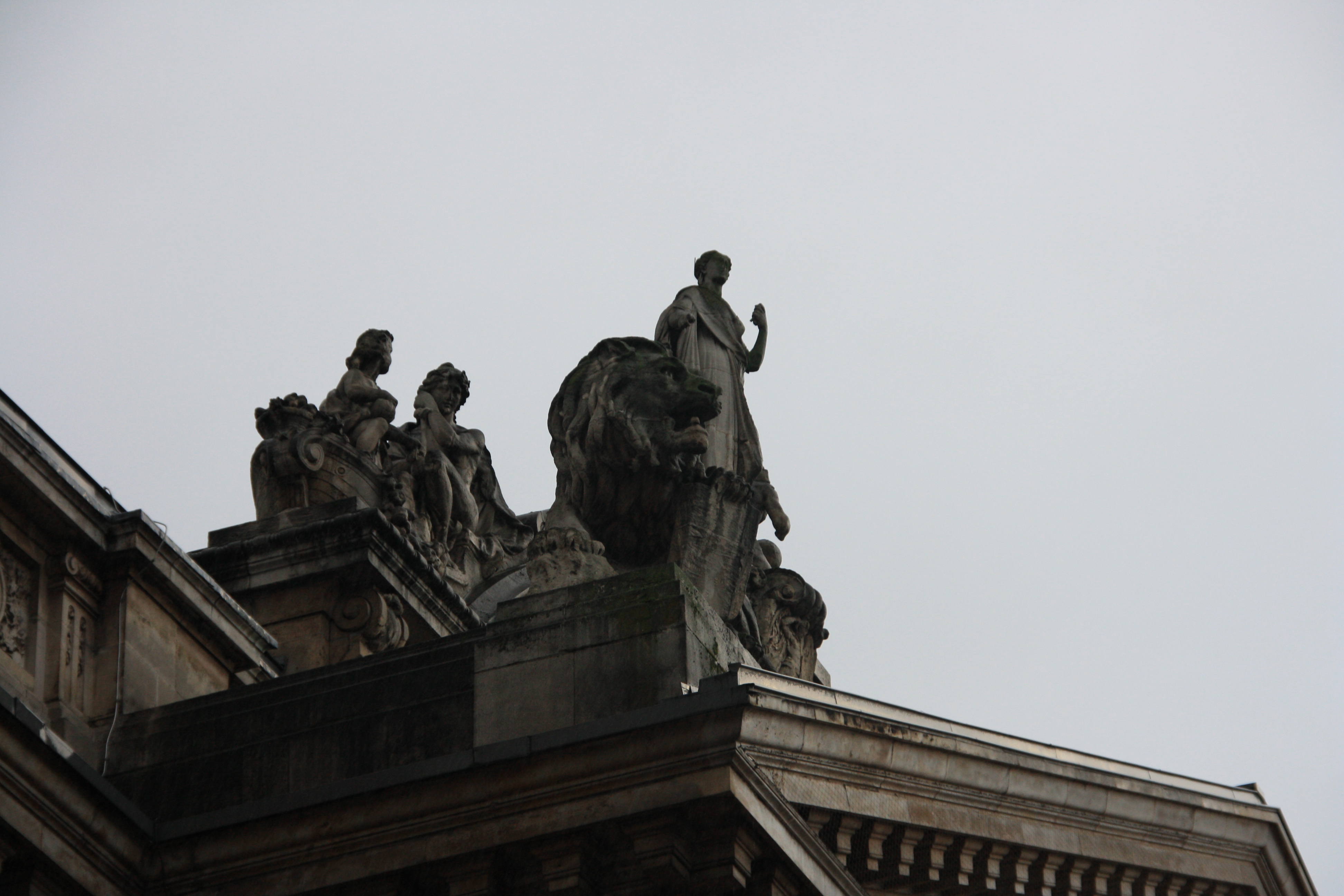 IMG_5844.JPG