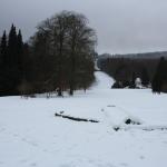 IMG_5230.JPG