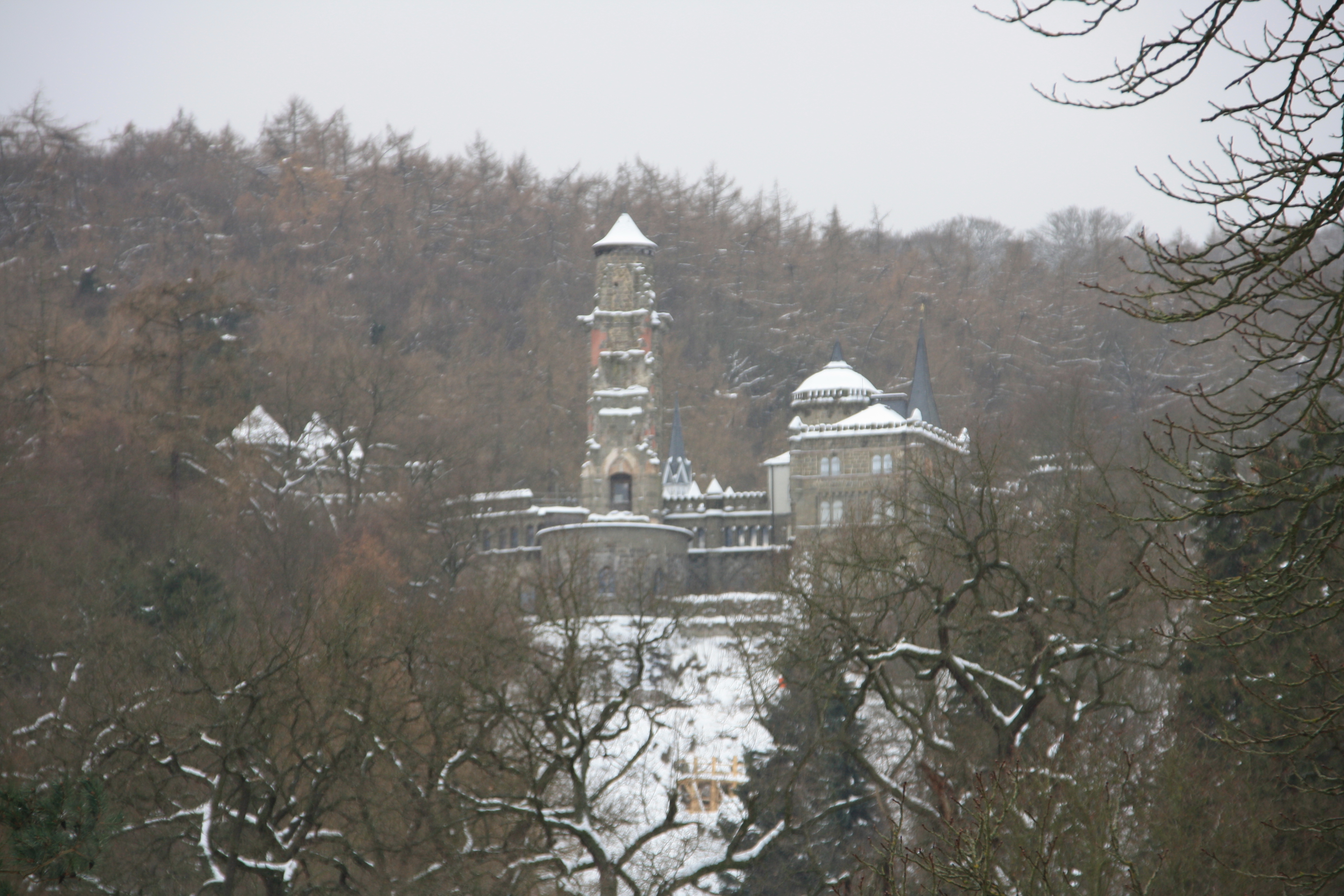 IMG_5233.JPG