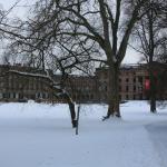 IMG_5240.JPG