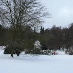 IMG_5241.JPG