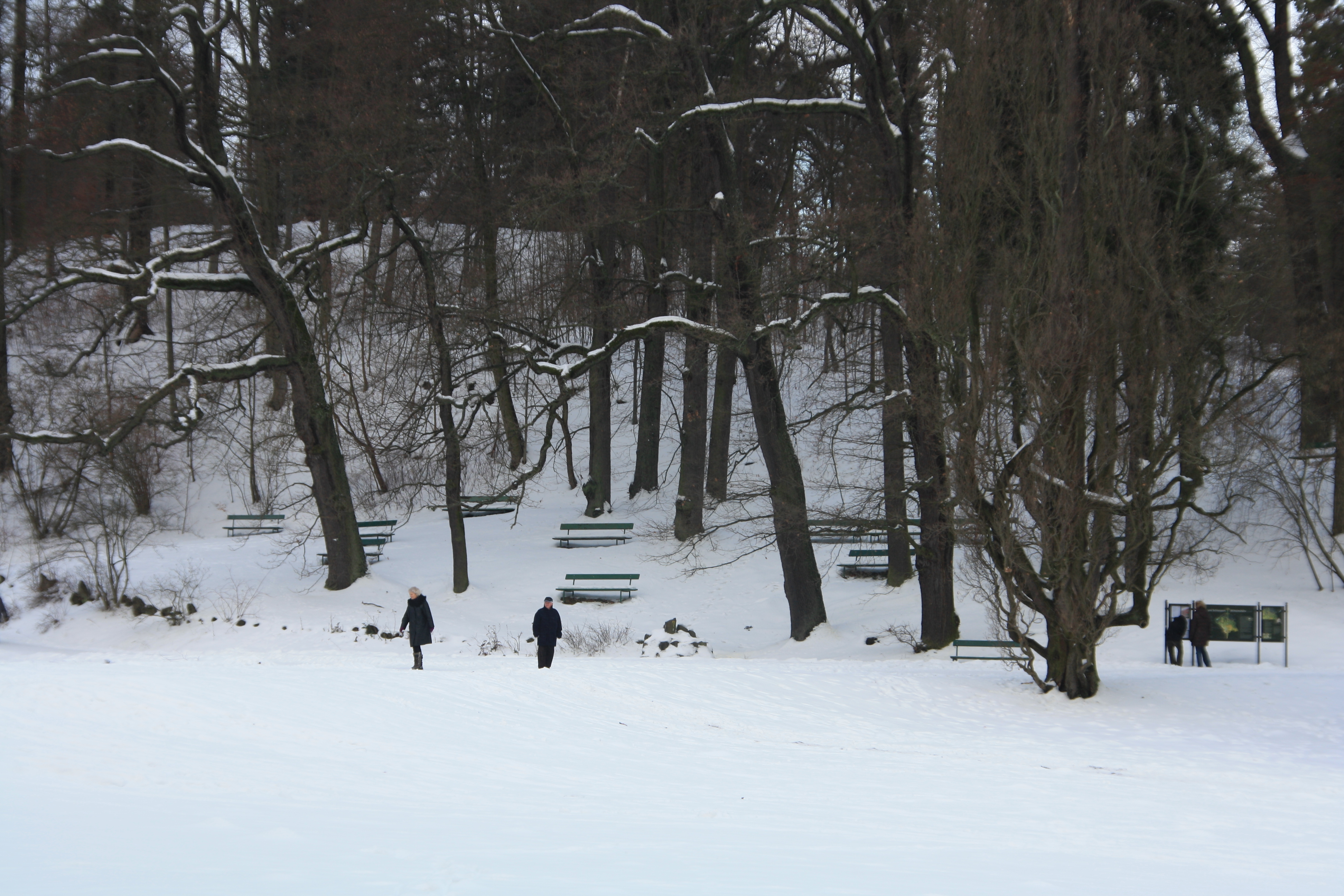 IMG_5242.JPG
