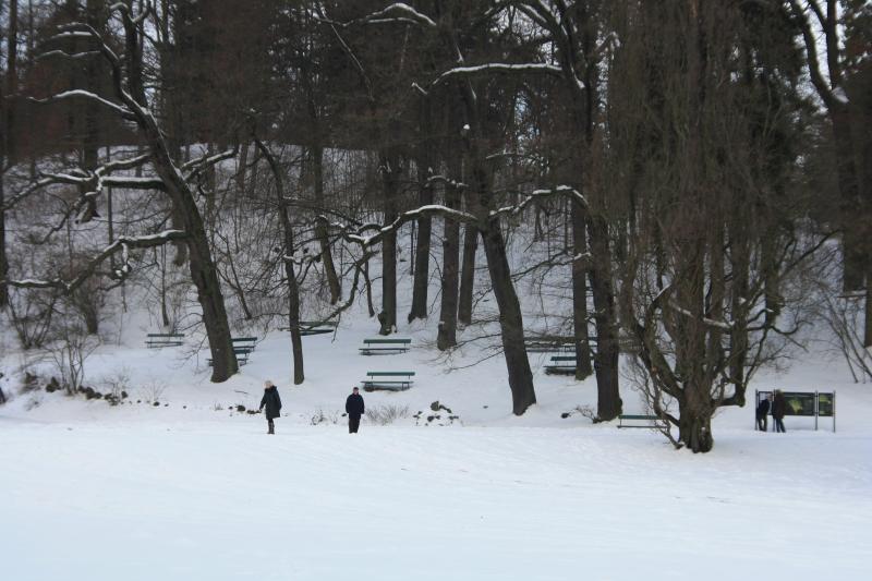 IMG_5242.JPG