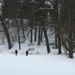 IMG_5242.JPG