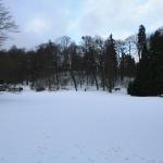 IMG_5243.JPG