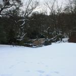 IMG_5246.JPG