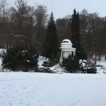 IMG_5248.JPG