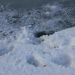 IMG_5260.JPG