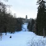 IMG_5266.JPG