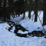 IMG_5267.JPG