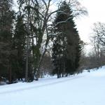 IMG_5270.JPG