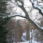 IMG_5272.JPG