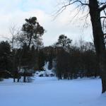 IMG_5278.JPG