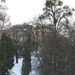 IMG_5279.JPG