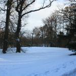 IMG_5282.JPG