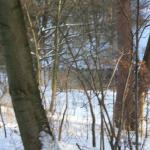 IMG_5284.JPG