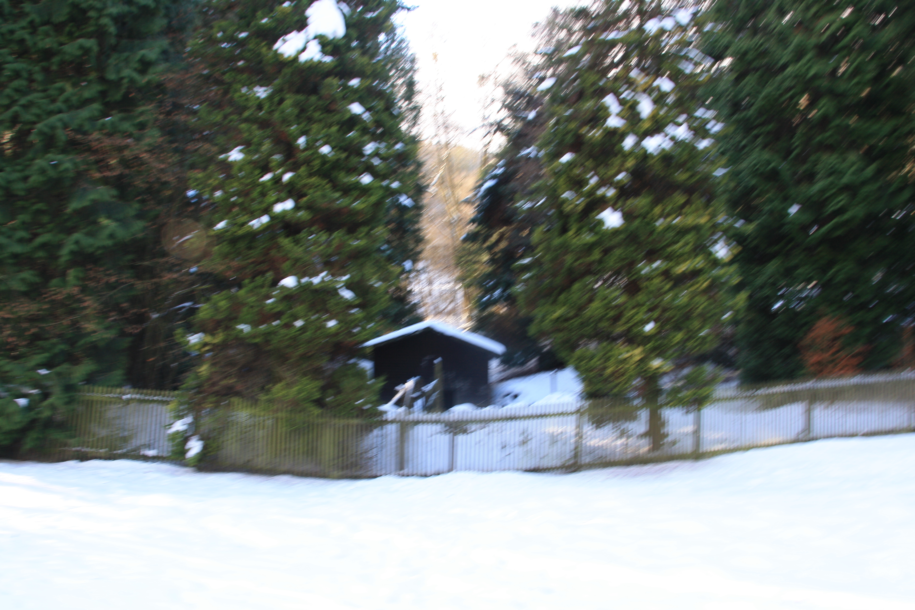 IMG_5288.JPG