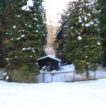 IMG_5288.JPG