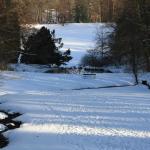 IMG_5290.JPG