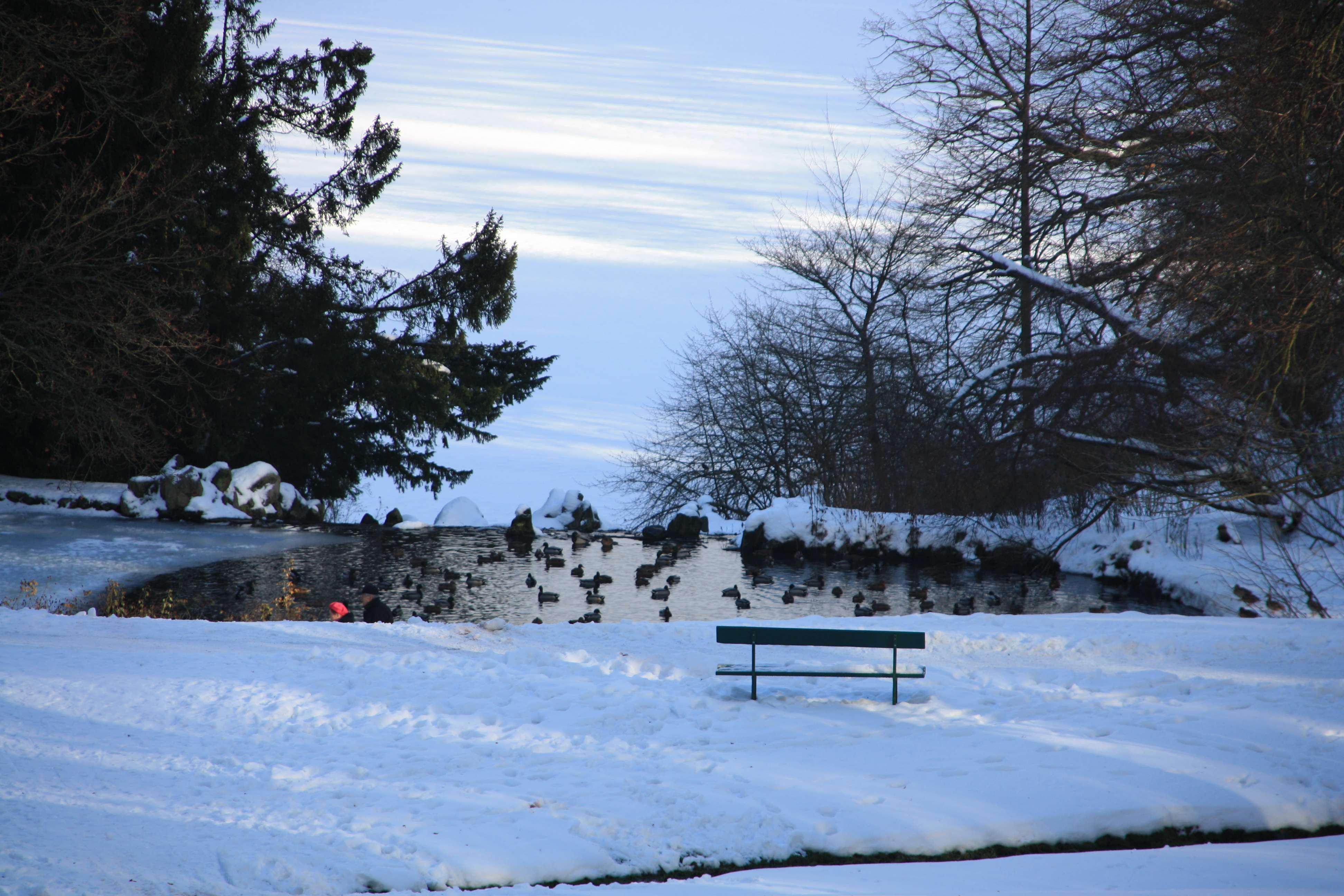 IMG_5291.JPG