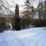 IMG_5295.JPG