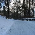 IMG_5314.JPG