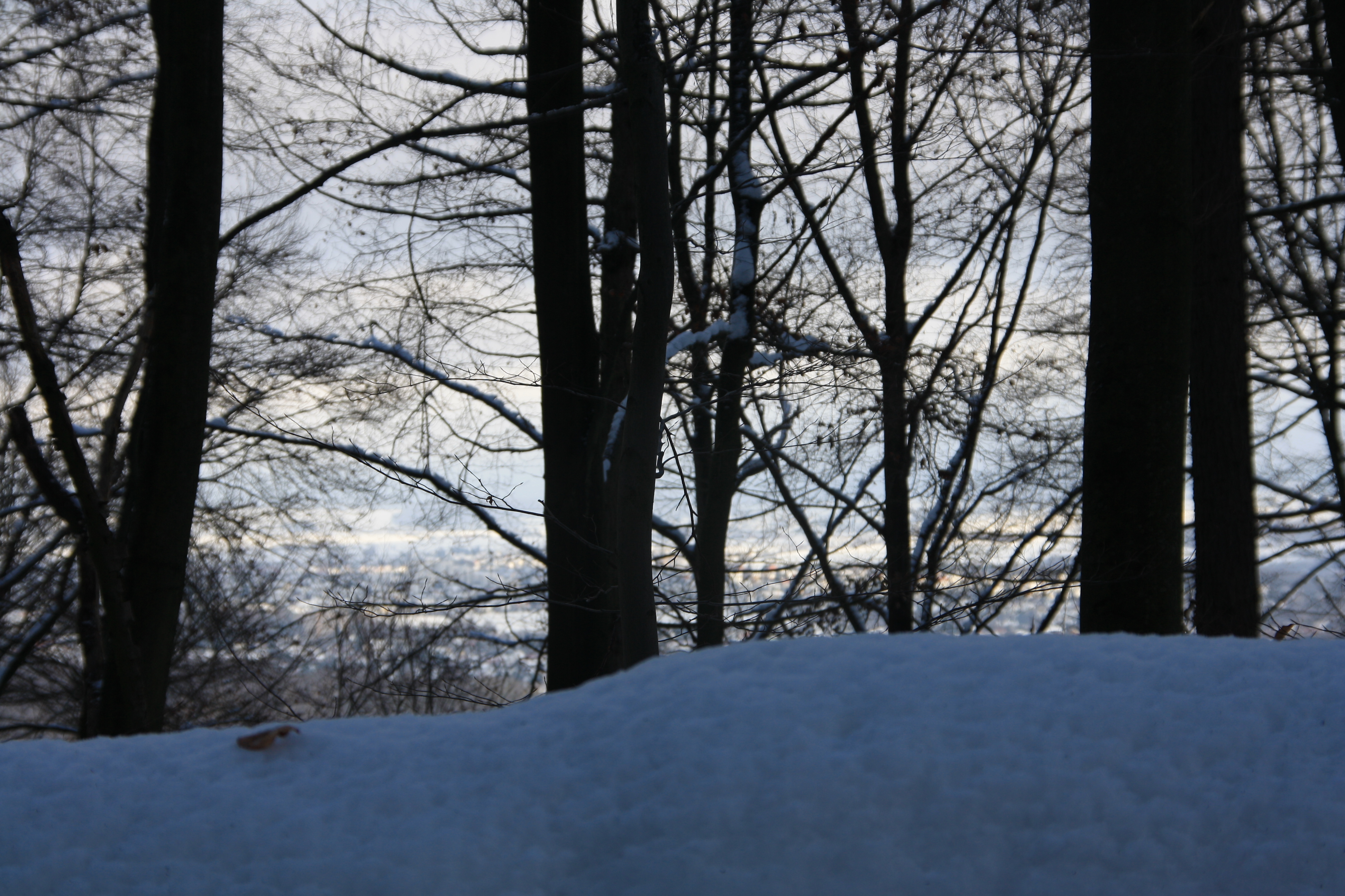 IMG_5317.JPG