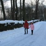 IMG_5320.JPG