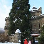 IMG_5327.JPG