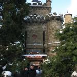 IMG_5338.JPG