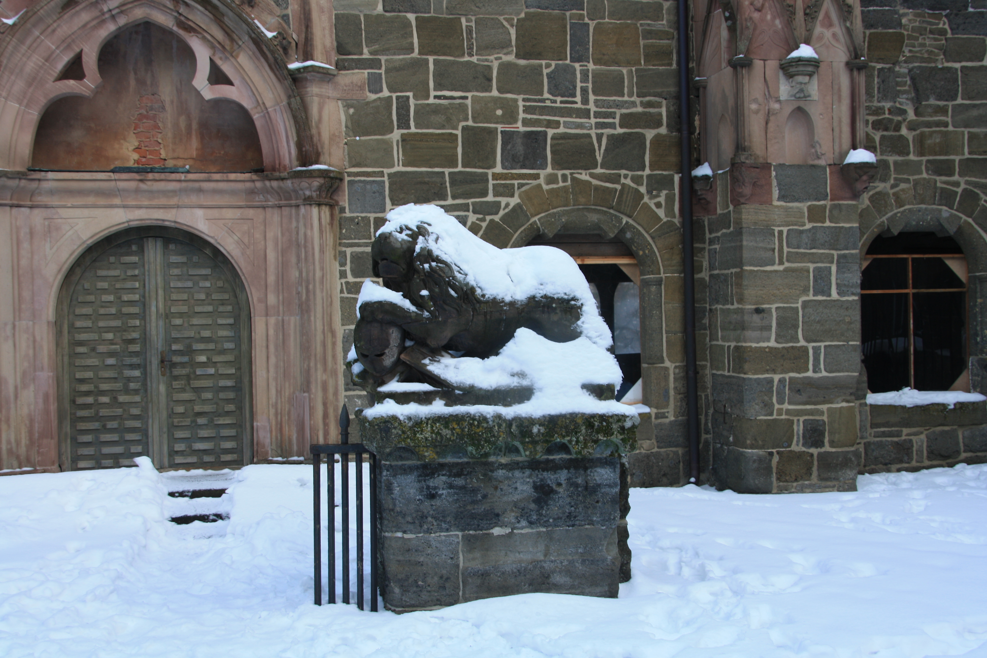 IMG_5350.JPG