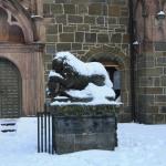 IMG_5350.JPG