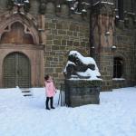 IMG_5356.JPG