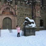 IMG_5359.JPG