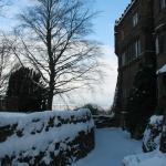 IMG_5373.JPG
