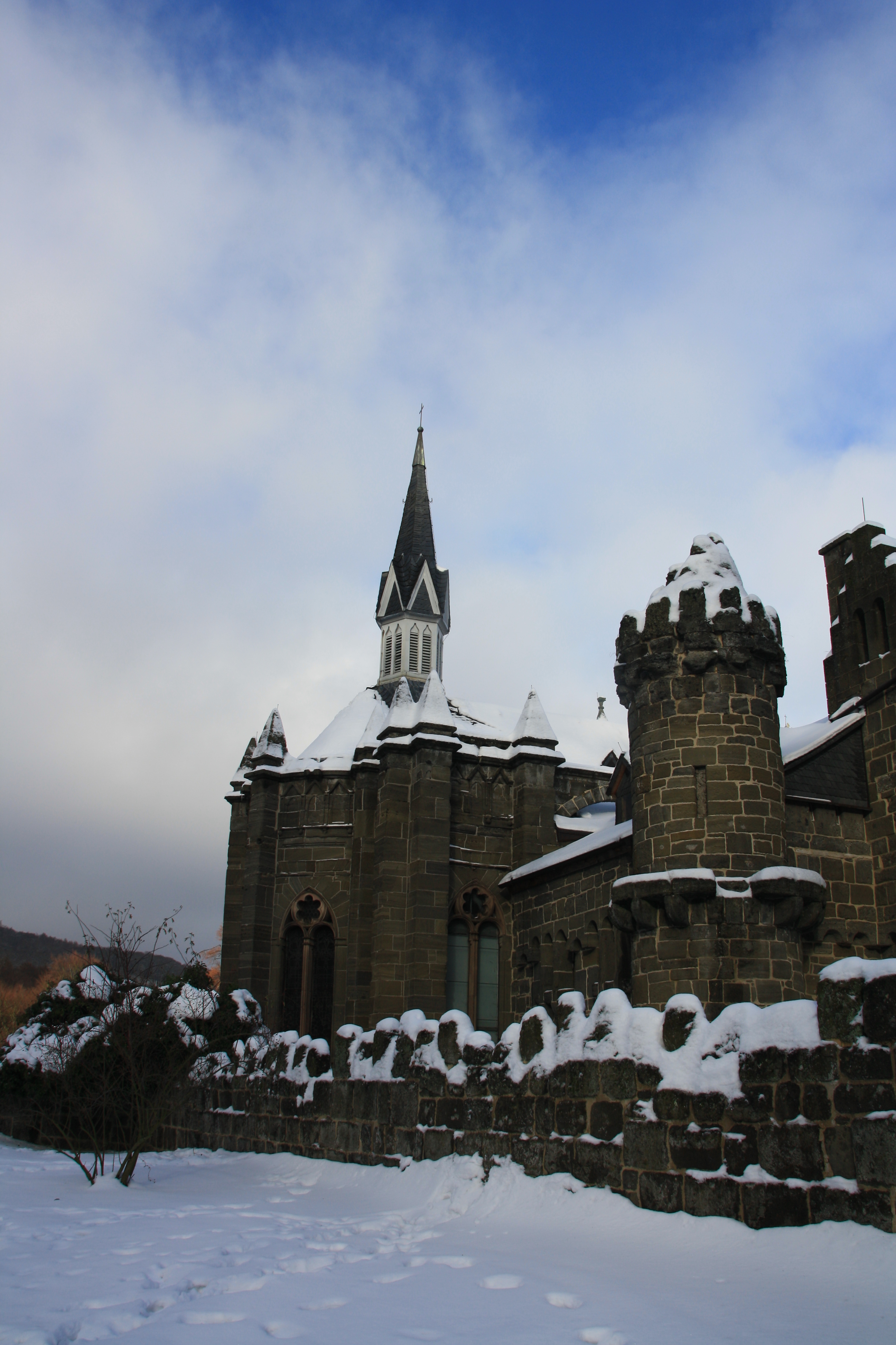 IMG_5392.JPG