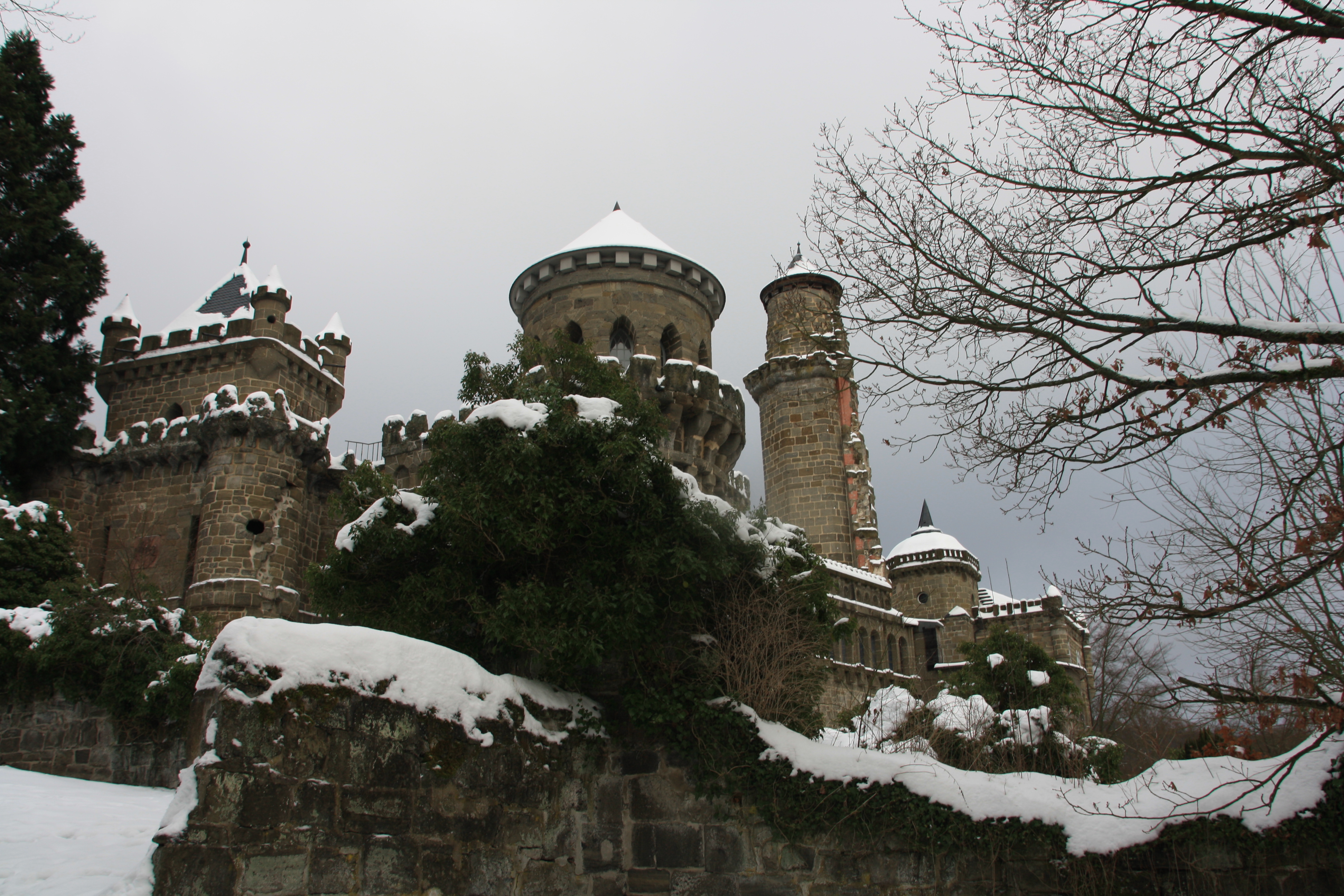IMG_5414.JPG