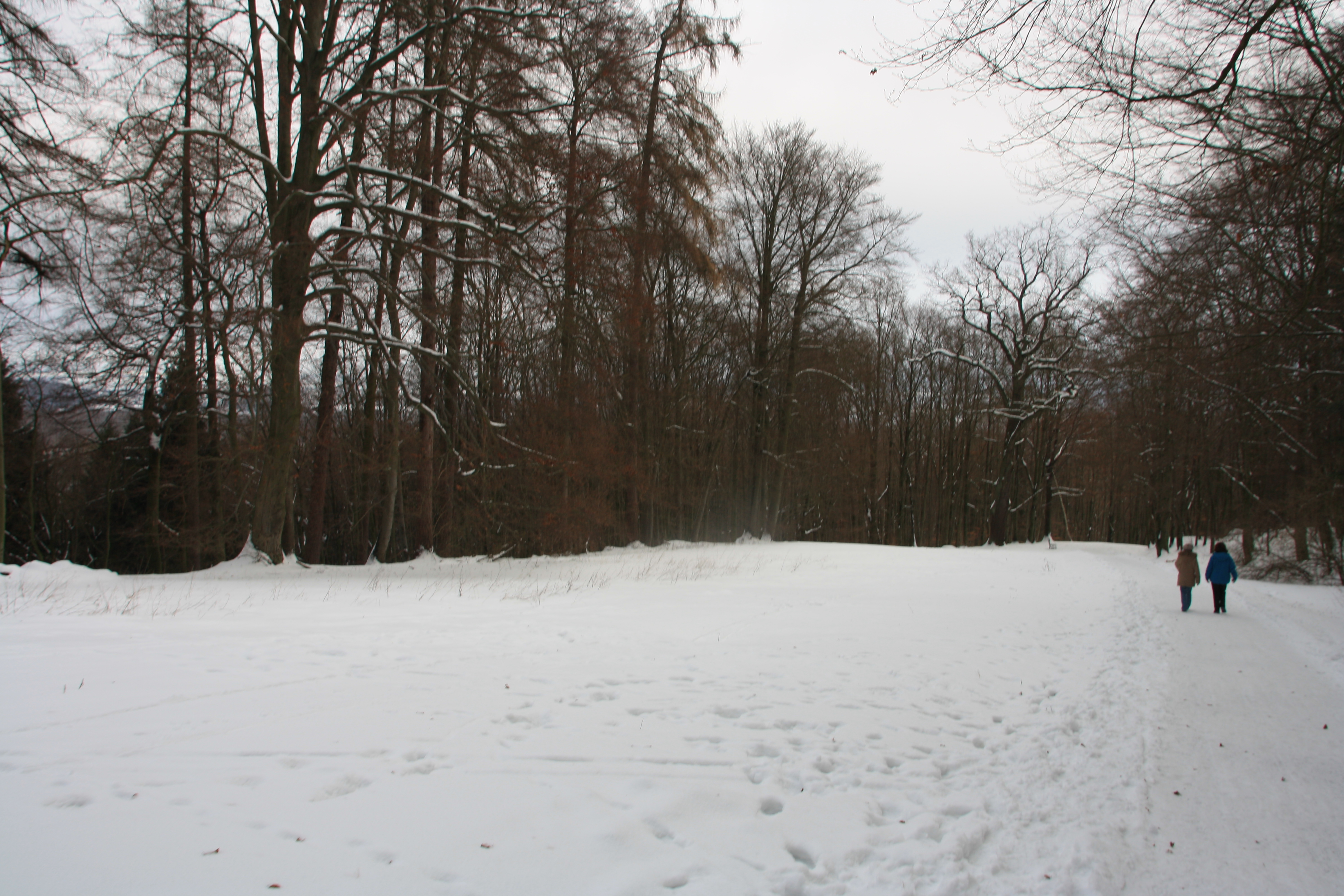IMG_5415.JPG