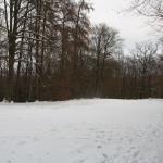 IMG_5415.JPG