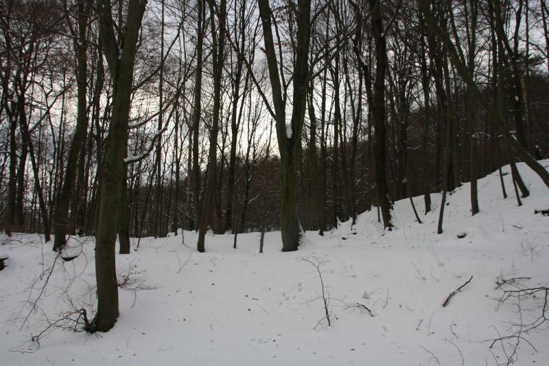 IMG_5420.JPG