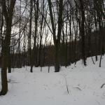 IMG_5420.JPG
