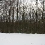 IMG_5421.JPG