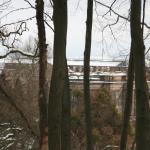 IMG_5428.JPG