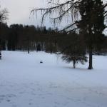 IMG_5430.JPG