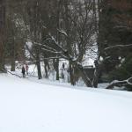 IMG_5431.JPG