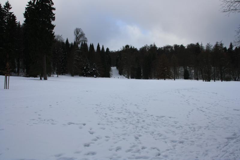 IMG_5433.JPG