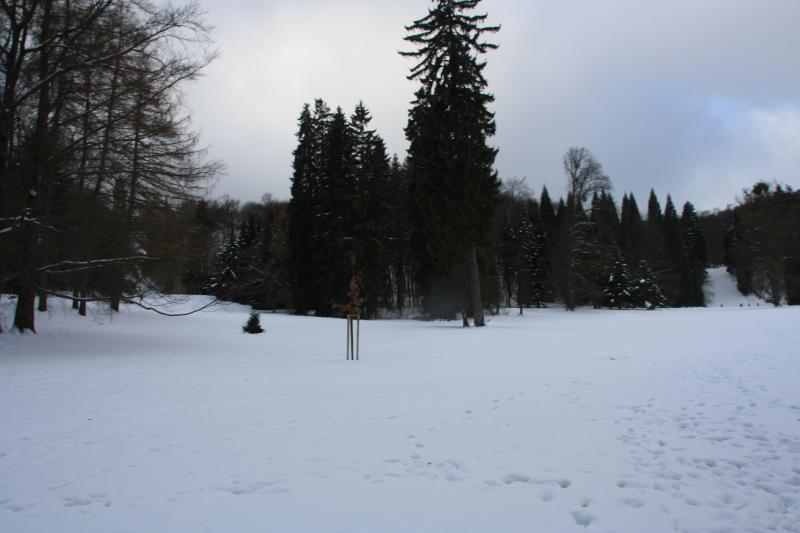 IMG_5434.JPG