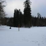 IMG_5434.JPG